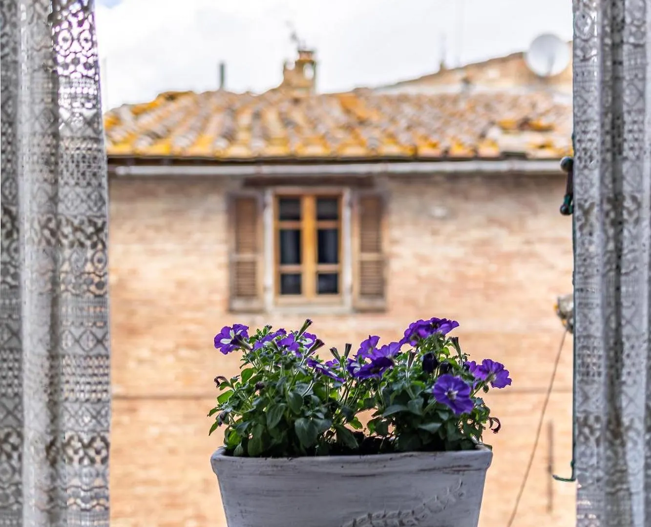 Apartament Il Nido Buonconvento